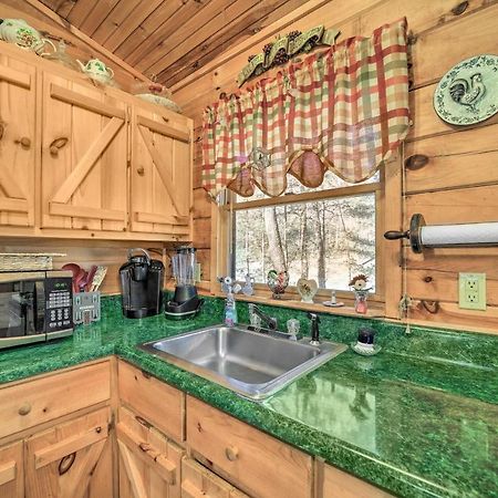 Franklin Cabin With Porch Near Hiking And Waterfalls! المظهر الخارجي الصورة